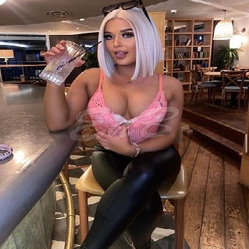 28 Year Curvacious European Escort Lisa